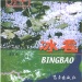 嵊州市好玩的地方